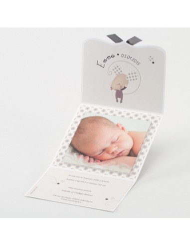Faire-Part Naissance souris et petit...