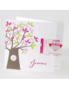 Faire-Part Naissance...