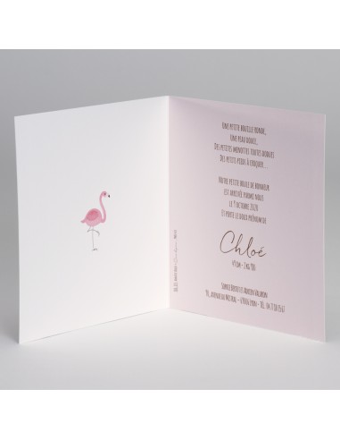 Faire-Part Naissance flamant rose...