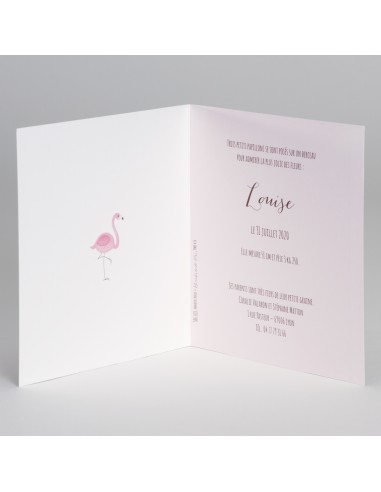 Faire-Part Naissance flamant rose...