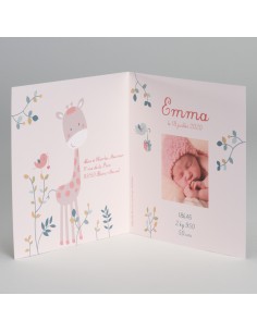 Faire-Part Naissance petite... 2