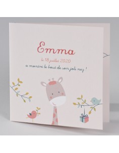 Faire-Part Naissance petite...