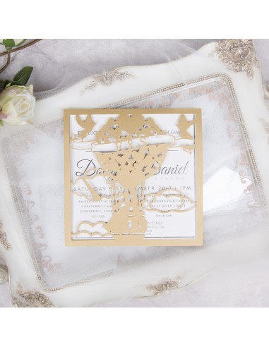 Pack Faire-part naissance...