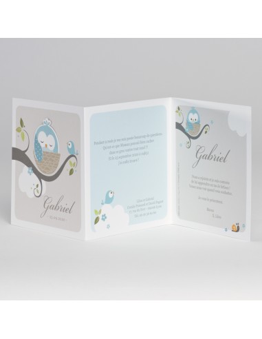 Faire-Part Naissance hibou endormi
