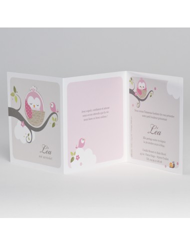 Faire-Part Naissance chouette endormie