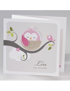 Faire-Part Naissance...