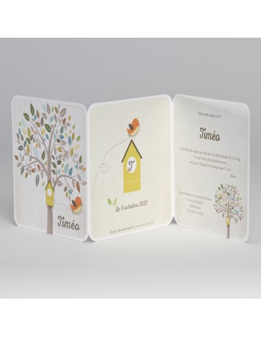 Faire-Part Naissance oisillon qui...