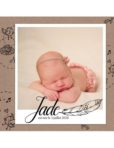Pack Faire-part Naissance plume -...