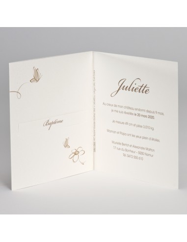 Faire-Part Naissance ourson & cadre...