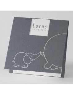 Faire-Part Naissance...