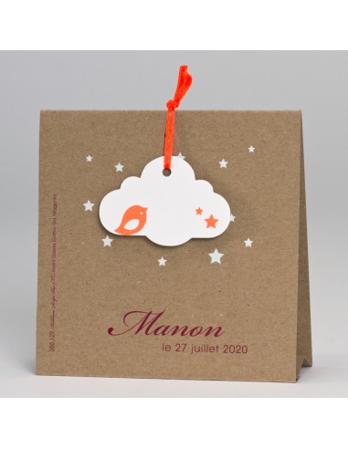 Faire-Part Naissance papier craft et...