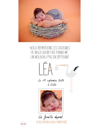 Pack Faire-Part Naissance Magnet...