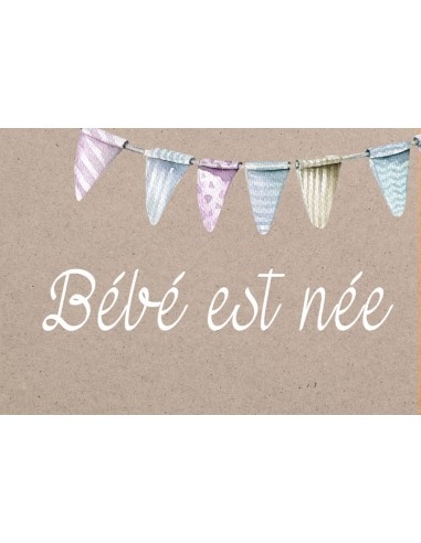 Timbre Naissance Banderole Fanions -...