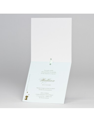 Pack Faire-Part Naissance vert...