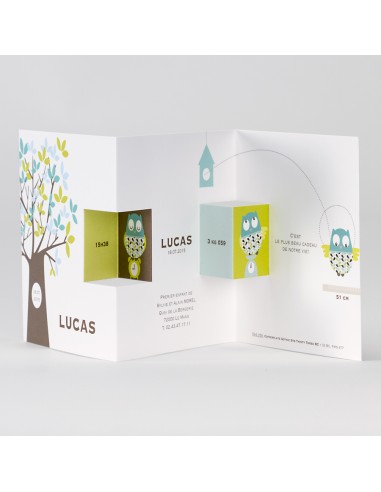 Pack Faire-Part Naissance hibou coloré