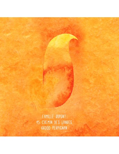 Pack Faire-part Naissance petit...