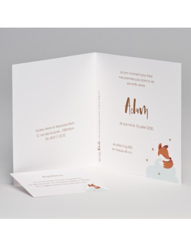 Pack Faire-part Naissance renard