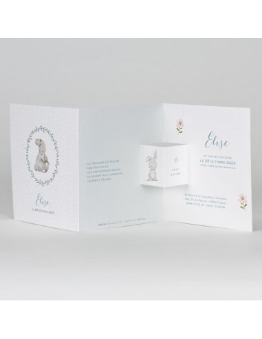 Pack Faire-Part Naissance lapin et pois