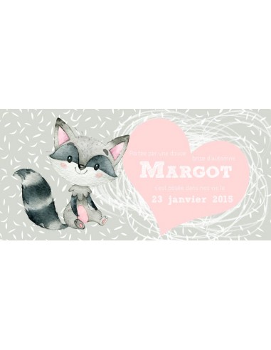 Pack Faire-part Naissance Raton...
