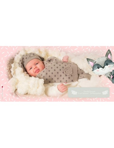 Pack Faire-part Naissance Raton...