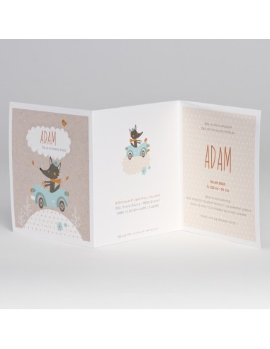 Bundle Faire-Part Naissance gentil loup