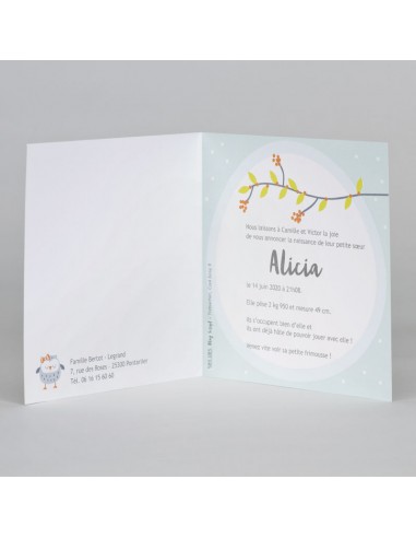 Bundle Faire-Part Naissance fille...