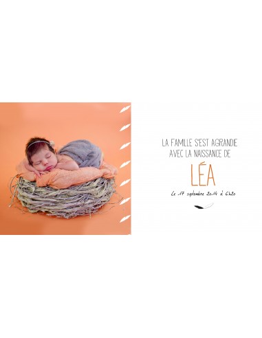 Pack Faire-part Naissance Cigogne -...