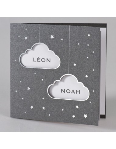 Pack Faire-Part Naissance jumeaux...