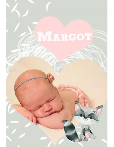 Étiquette naissance Raton Laveur -... Étiquette naissance Raton Laveur -...