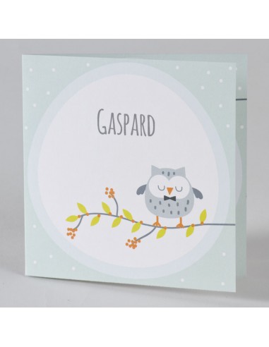 Pack Faire-Part Naissance garçon hibou