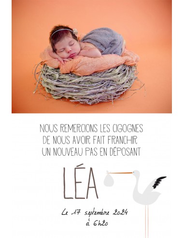 Pack Faire-part Naissance Cigogne -...