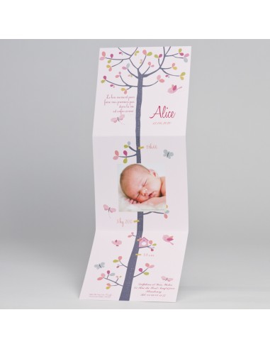 Pack Faire-Part Naissance arbre de vie