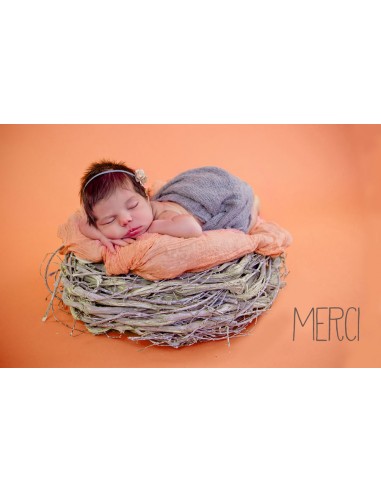 Remerciements Naissance Cigogne - Léa