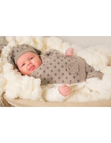 Remerciements Naissance Raton laveur...