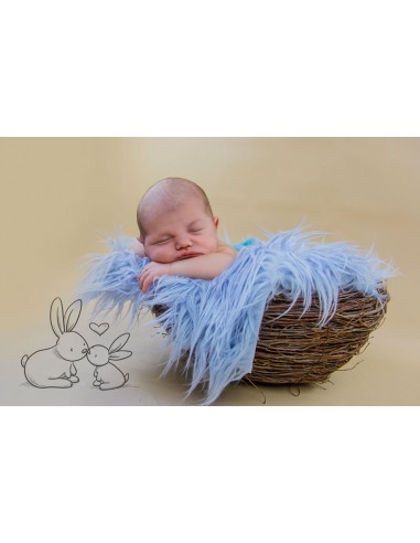 Remerciements Naissance Lapin Vintage...