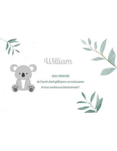 Remerciements Naissance Koala - William Remerciements Naissance Koala - William