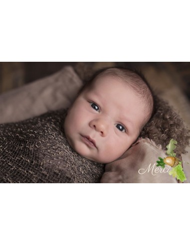 Remerciements Naissance renard cerf... Remerciements Naissance renard cerf...