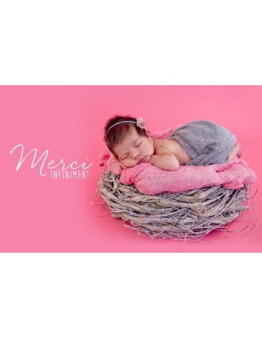 Remerciements Naissance Oiseau Rigolo... Remerciements Naissance Oiseau Rigolo...