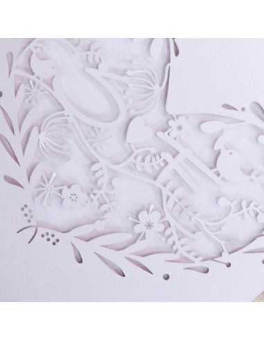 Faire-part Naissance Notre petit... Faire-part Naissance Notre petit...