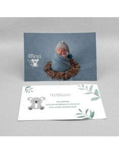 Remerciements Naissance...