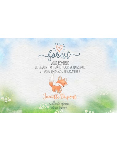 Remerciements Naissance famille de... Remerciements Naissance famille de...