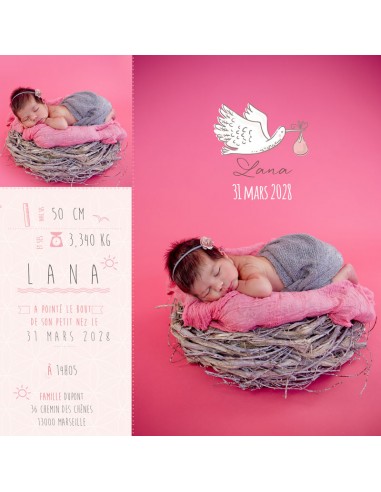 Faire-Part Naissance Magnet oiseau... Faire-Part Naissance Magnet oiseau...