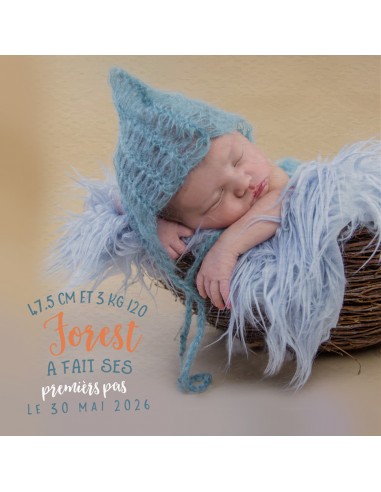 Faire-part Naissance Famille de... Faire-part Naissance Famille de...