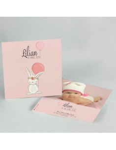 Faire-part Naissance Lapin...