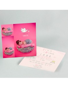 Faire-part Naissance Oiseau...