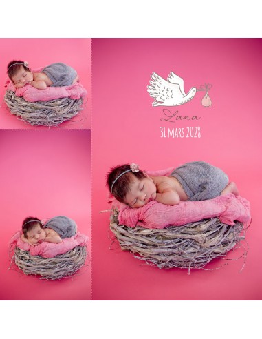 Faire-part Naissance Oiseau rigolo -... Faire-part Naissance Oiseau rigolo -...