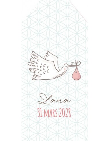 Faire-part Naissance Oiseau rigolo -...