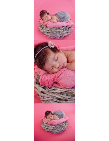 Faire-part Naissance Oiseau rigolo -...