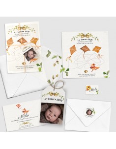 Faire-part Naissance Renard... 2