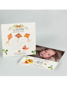 Faire-part Naissance Renard...